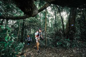 BIB: 
                            <button type="button" onclick="openModal(25390186)" class="btn btn-primary btn-sm float-right btn-popup" data-toggle="modal" data-target=".modal-high-quality">
                        <i class="fas fa-shopping-cart"></i> Add to Cart
                    </button>
                                            <button type="button" onclick="isThisMe(25390186, true)" class="btn btn-success btn-sm float-right btn-popup btn-isme hidden" data-toggle="tooltip" data-placement="bottom" title="นี่คือรูปของคุณใช่ไหม คลิกที่นี่เพื่อเอาเข้าอัลบั้ม">
                        <i class="fas fa-plus"></i> Add to album
                    </button>
                    <button type="button" onclick="isThisMe(25390186, false)" class="btn btn-warning btn-sm float-right btn-popup btn-isnotme hidden">
                        <i class="fas fa-ban"></i> Remove from album
                    </button>